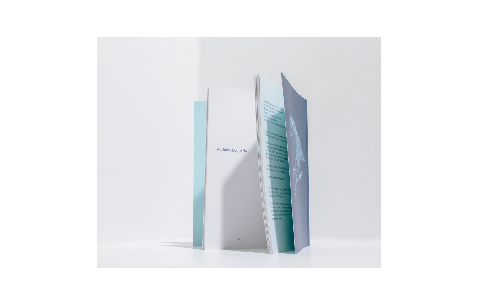 Almost Now, Just Then... exhibition catalog
