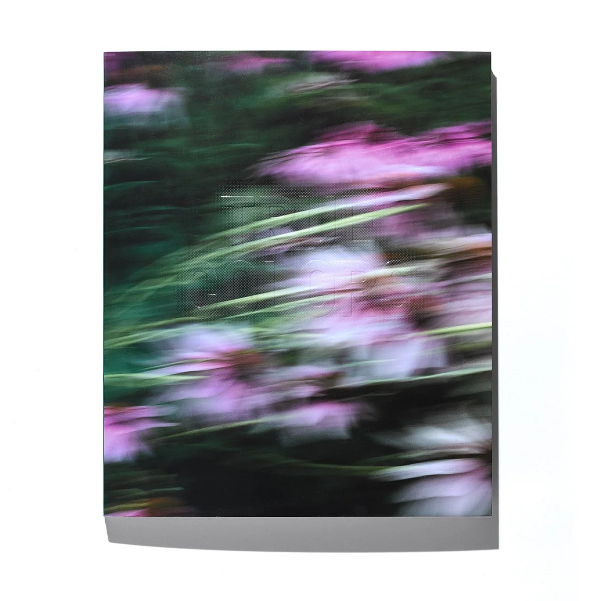 Zora J Murff: True Colors (Or, Affirmations in a Crisis) for Aperture