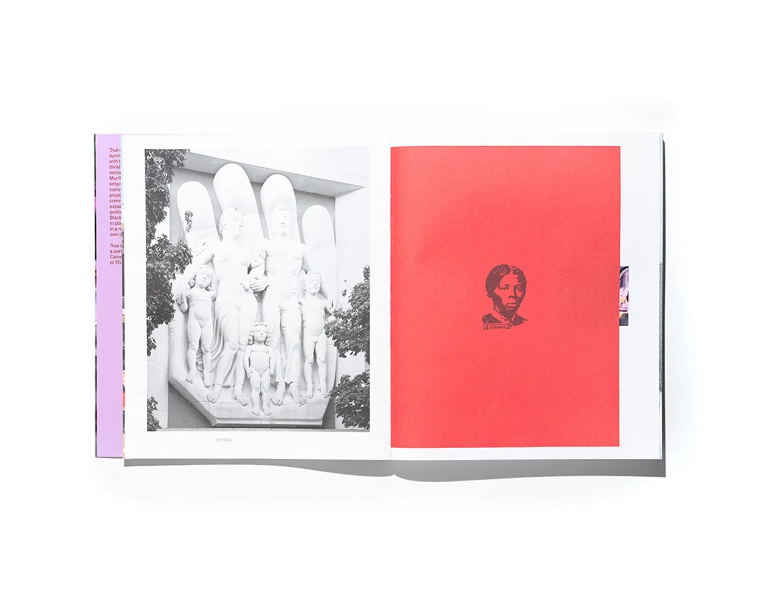 Zora J Murff: True Colors (Or, Affirmations in a Crisis) for Aperture