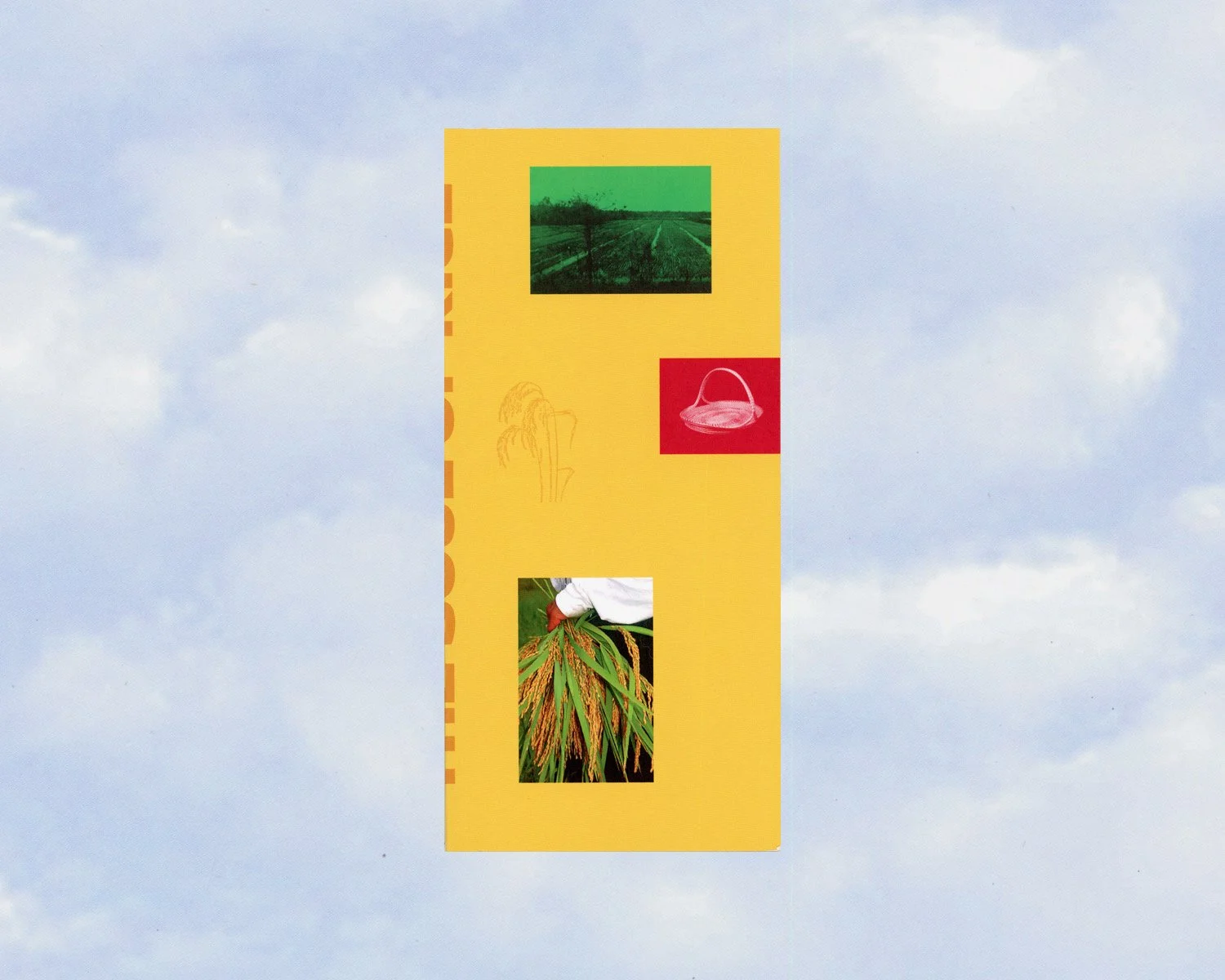 Soul of Rice publication in collaboration with 21c Museum Hotel