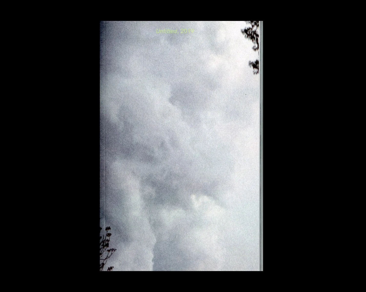 Untitled, 2019 publication printed completely on Tyvek