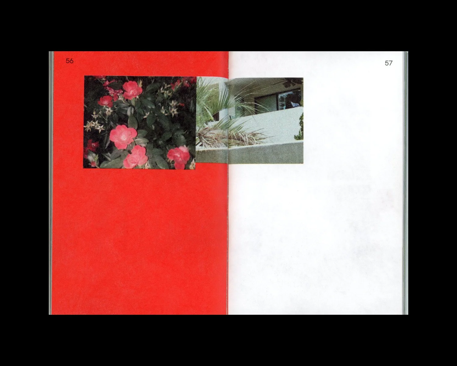 Untitled, 2019 publication printed completely on Tyvek