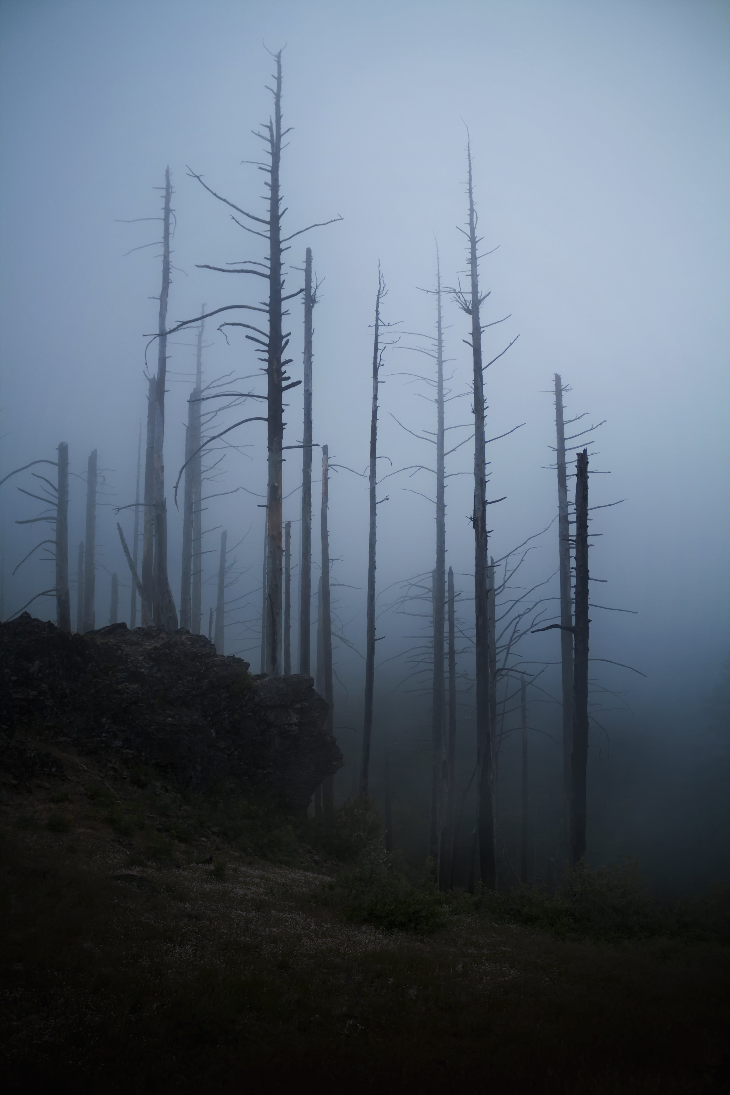 Grizzly-Peak-fog2.jpg