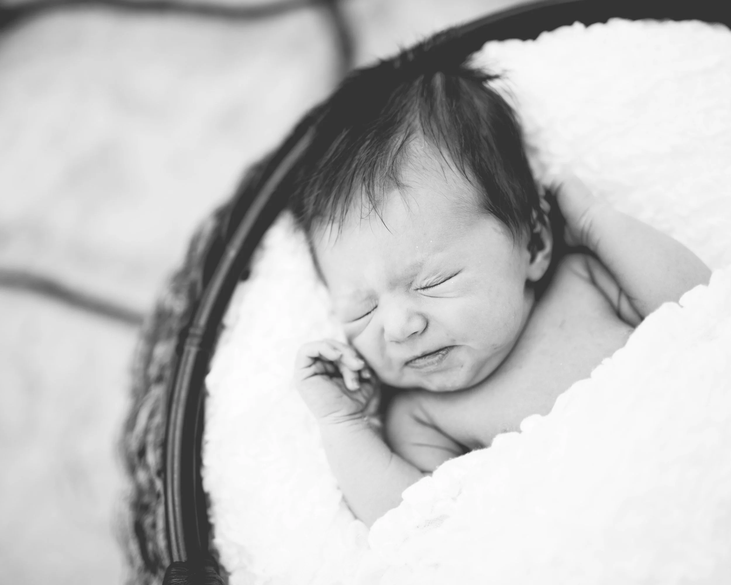 MHP_2016.04.16_Penelope-73-3.jpg