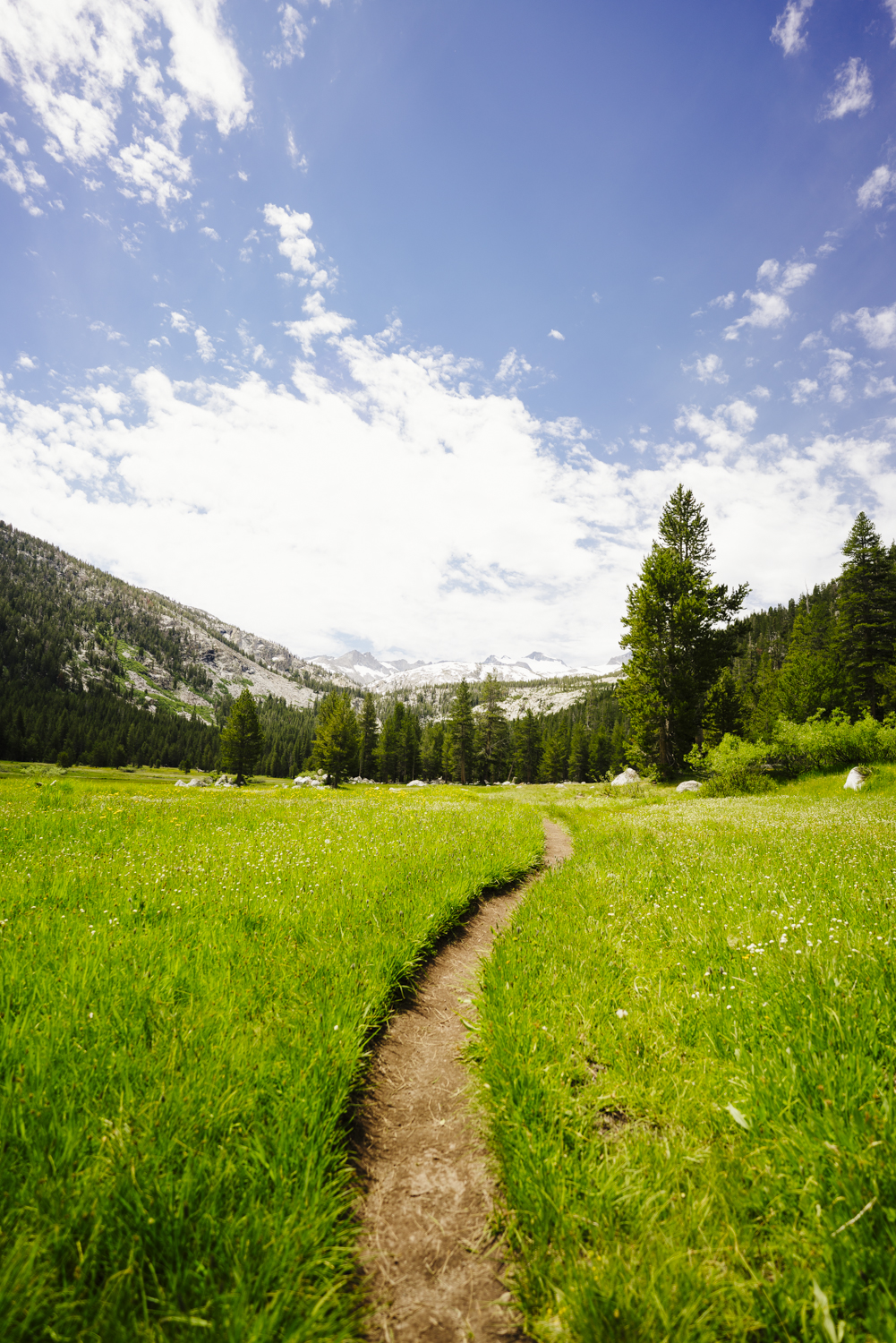 Trail through Lyell Canyon on the edge of Yosemite National Park.