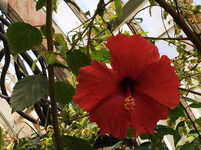 How Can Shame Be Healthy?