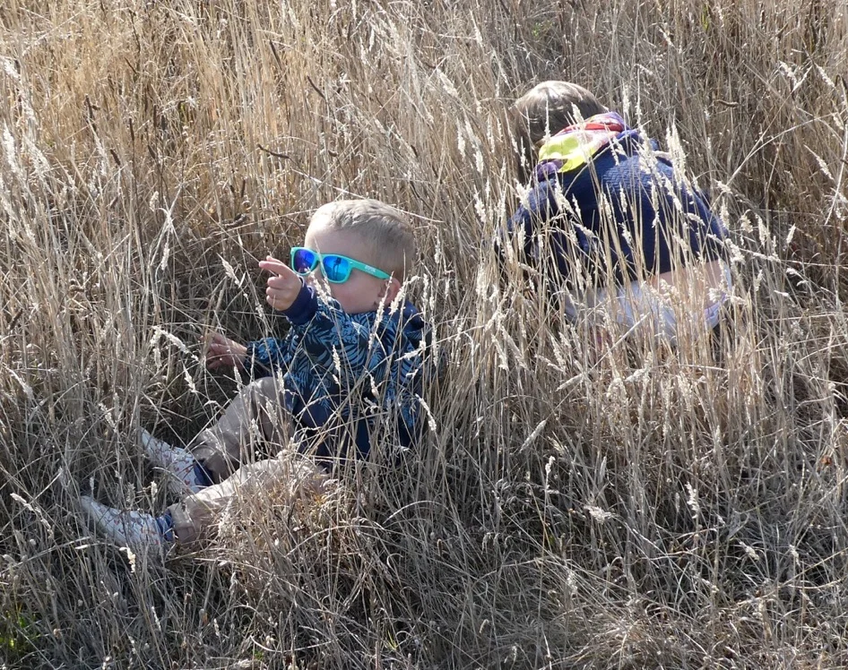 Healing Shame in Inner Children and Actual Children - Online Workshop - 13 CE Credits