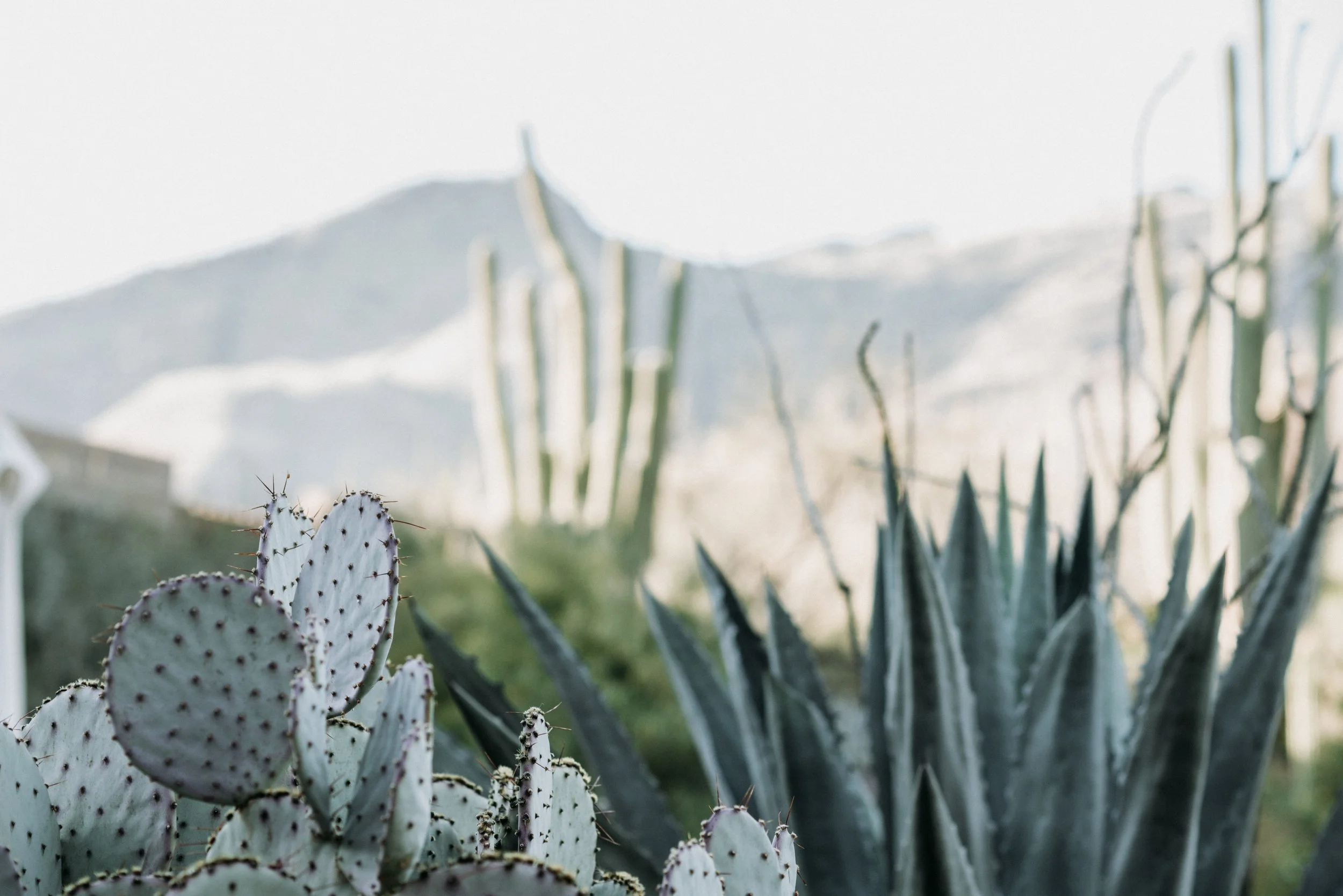 zelle-duda-DBUvQCYNJgk-unsplash.jpeg