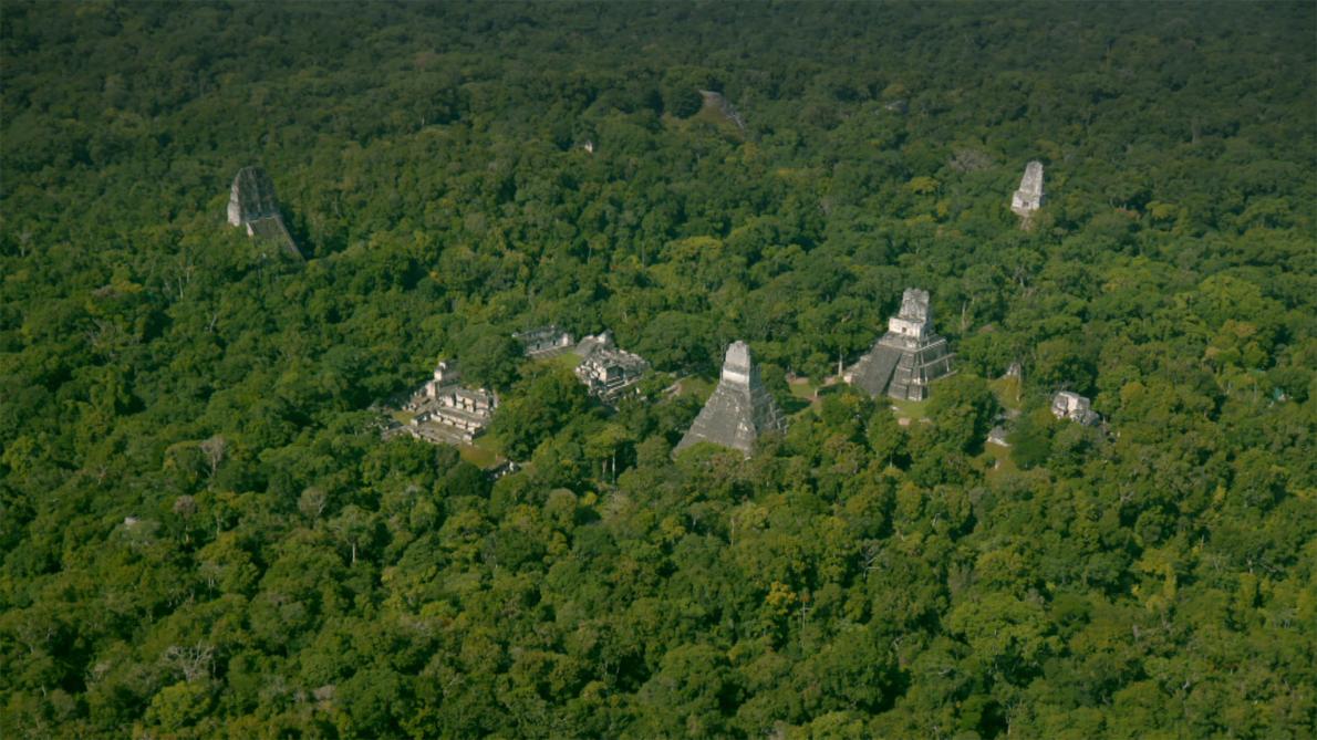 Laser scans revealed more than 60,000 previously unknown Maya structures that were part of a vast network of cities, fortifications, farms, and highways (National Geographic) 