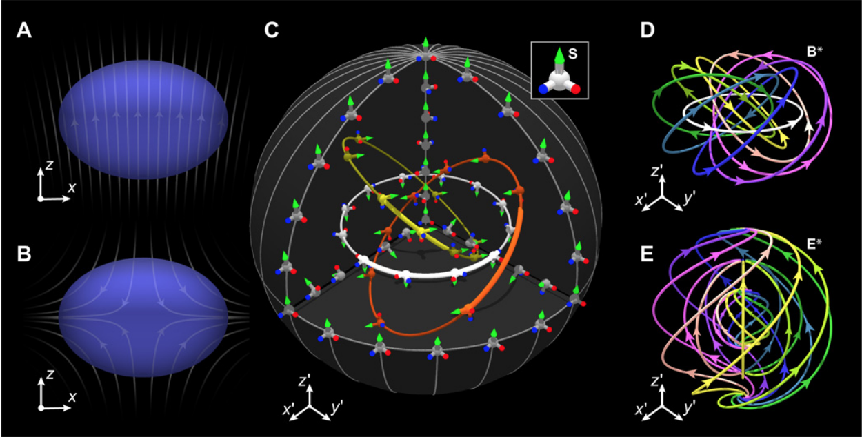 The field lines of a Shankar 3D skyrmion (Source: Science )
