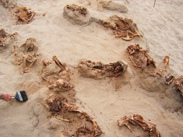 Preserved in dry sand for more than 500 years, more than a dozen children were revealed over the course of a day by archaeologists (National Geographic) 