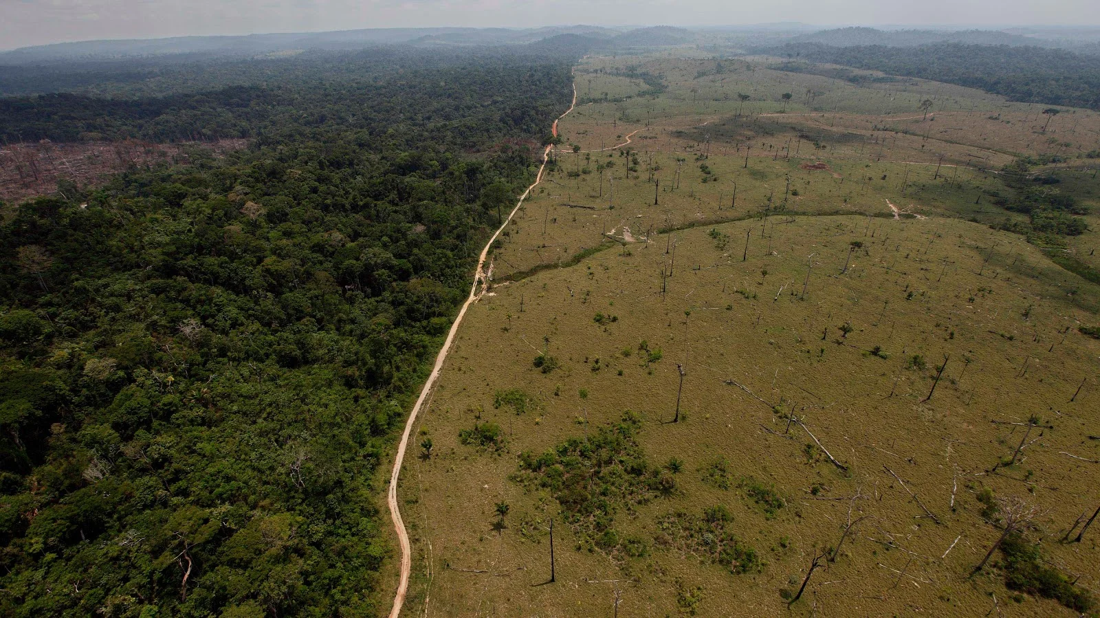A deforested area near Novo Progresso in Brazil's northern state of Para. Photo: Andre Penner/ AP