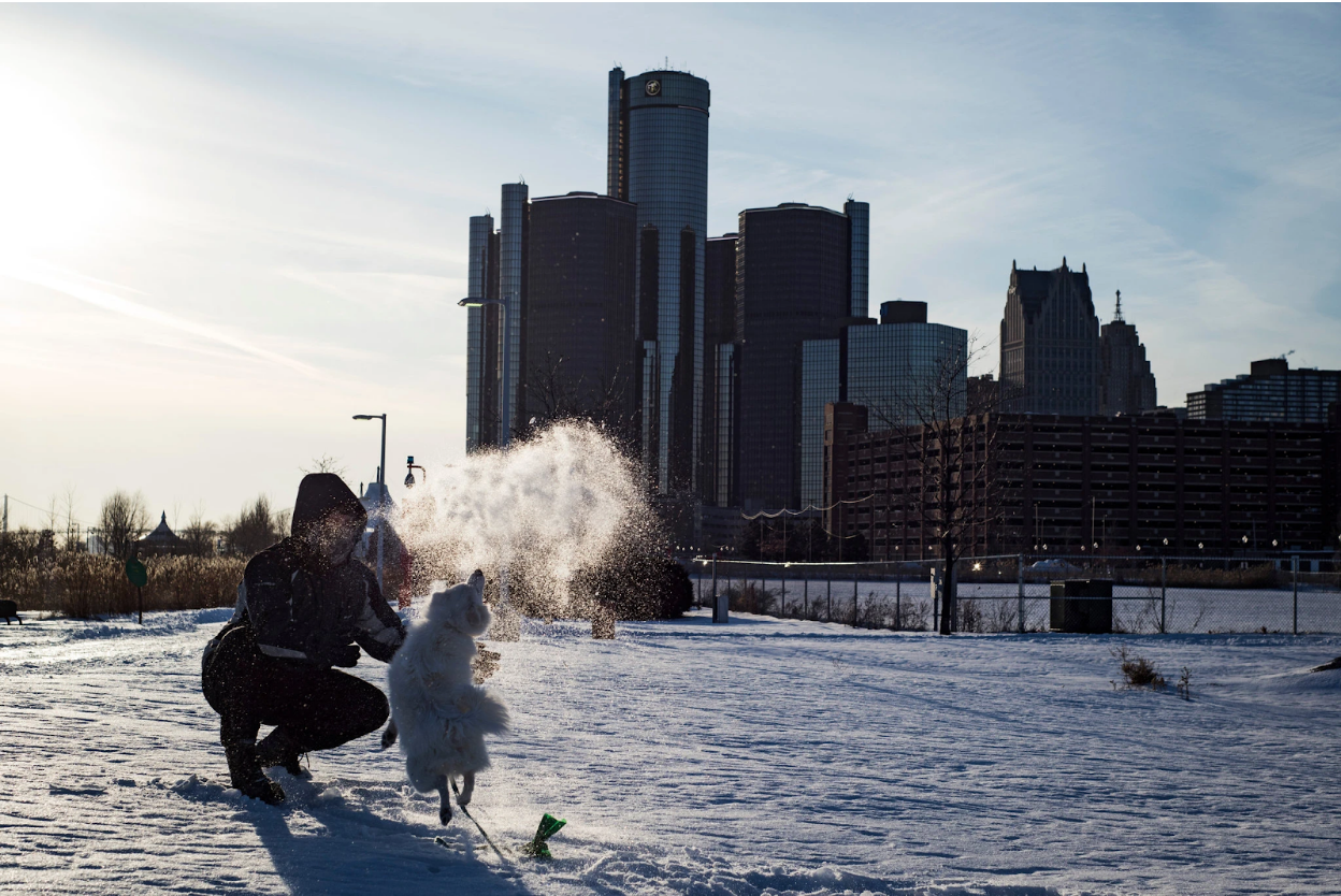 A dog playing in the snow in Detroit on Thursday morning. Photo: Emily Rose Bennett/ New York Times