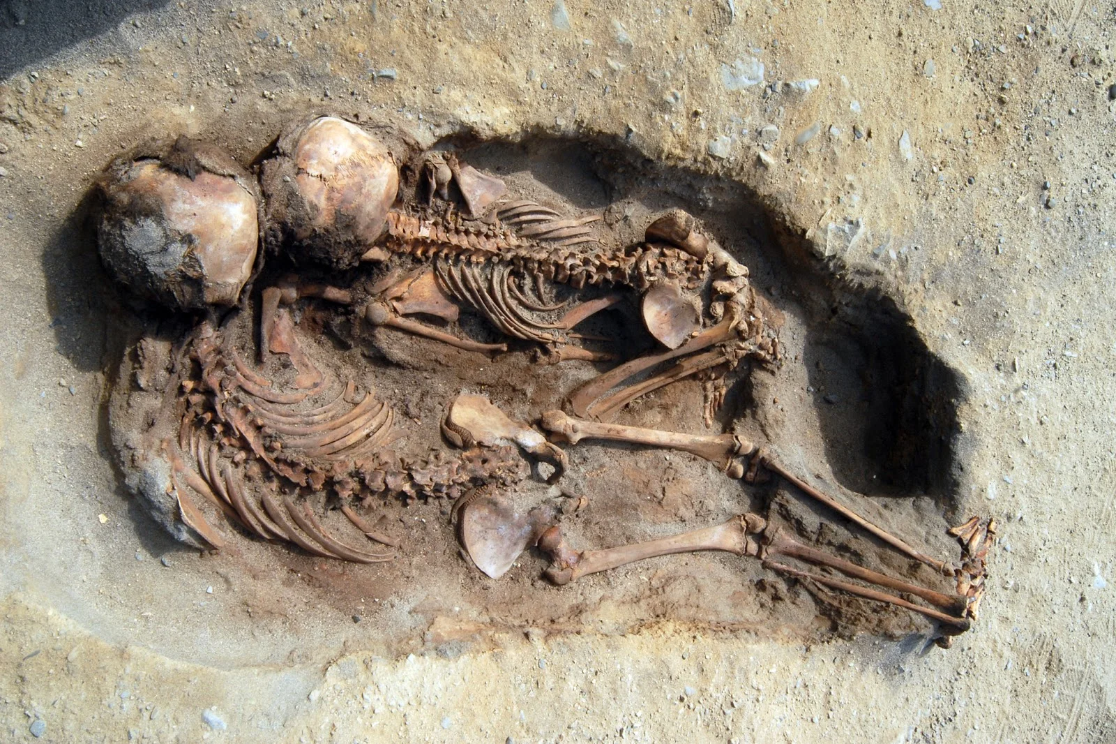 Children skeletons found in Peru. Photo: John Verano/The New York Times