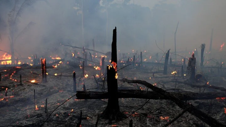 Photo: Ricardo Moraes / Reuters