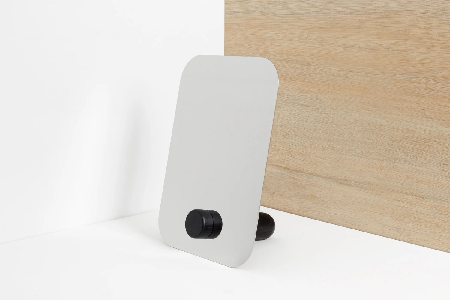 Pinokio  ESAILA, 2013