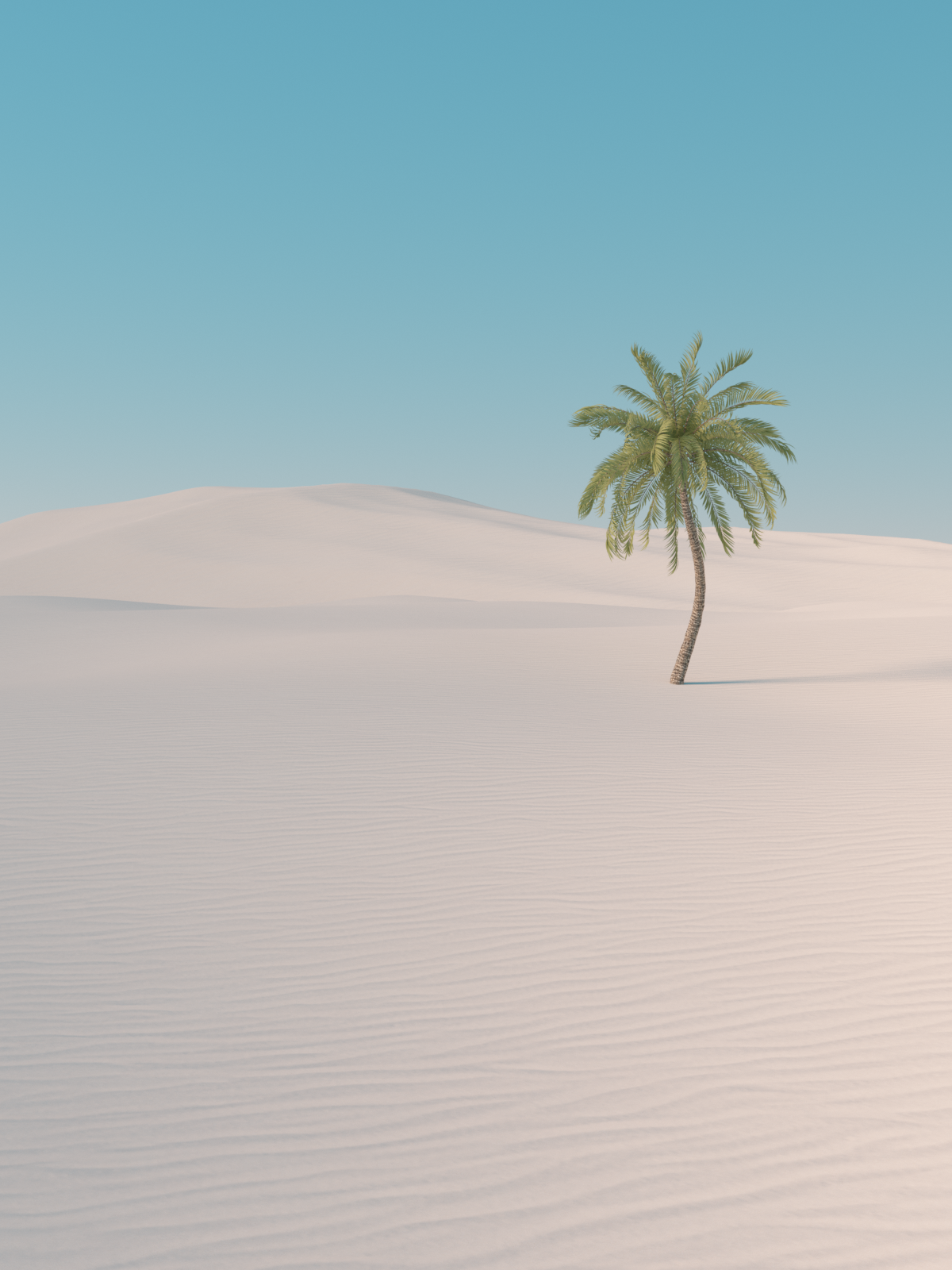 sand_landscpape_palm.png