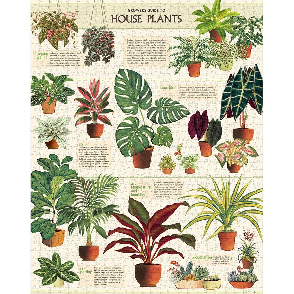 puzzle mit 1000 teilen house plants — kaufmannsladen