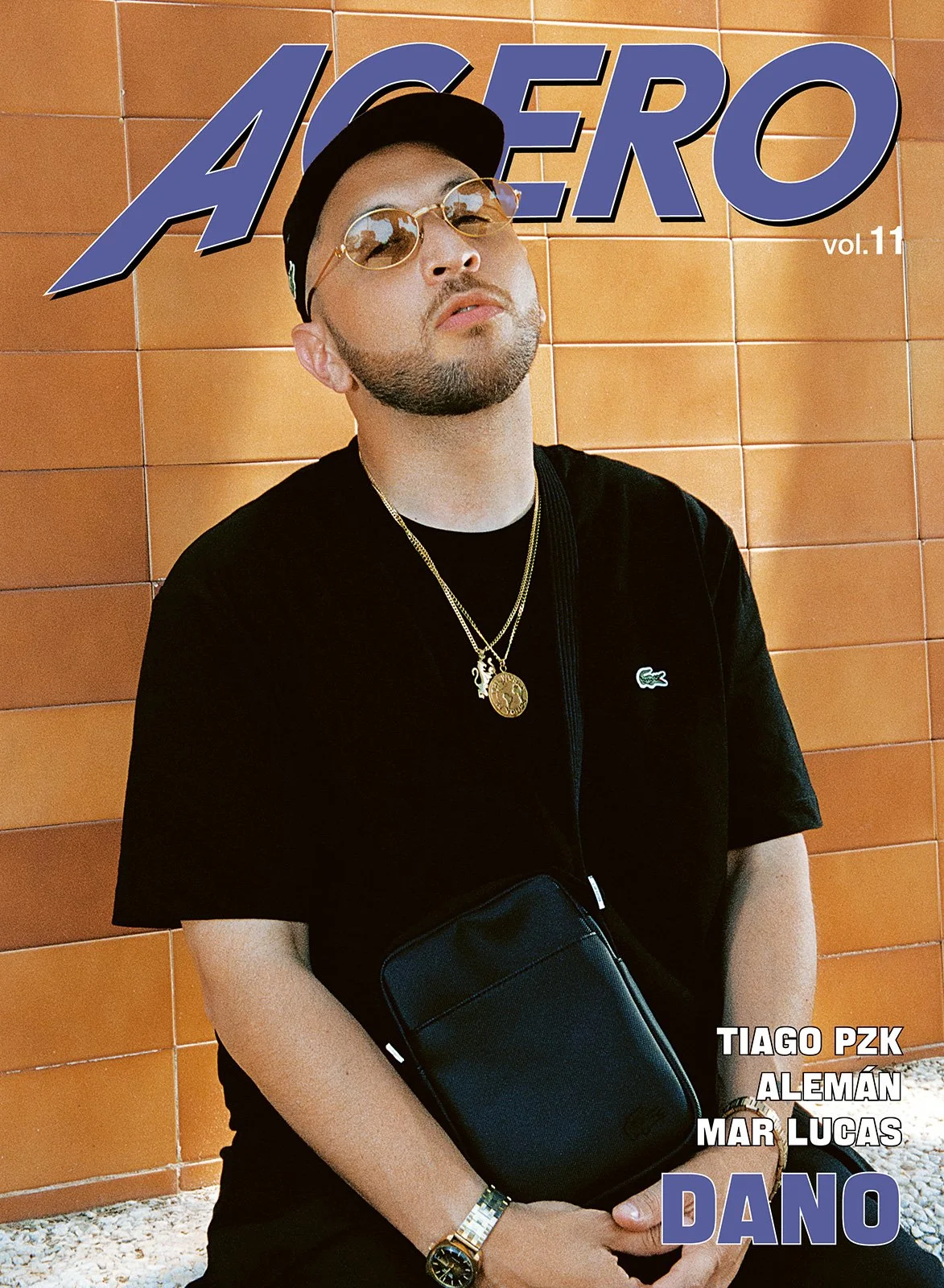 ACERO-VOL11-COVERS-DANO.jpg