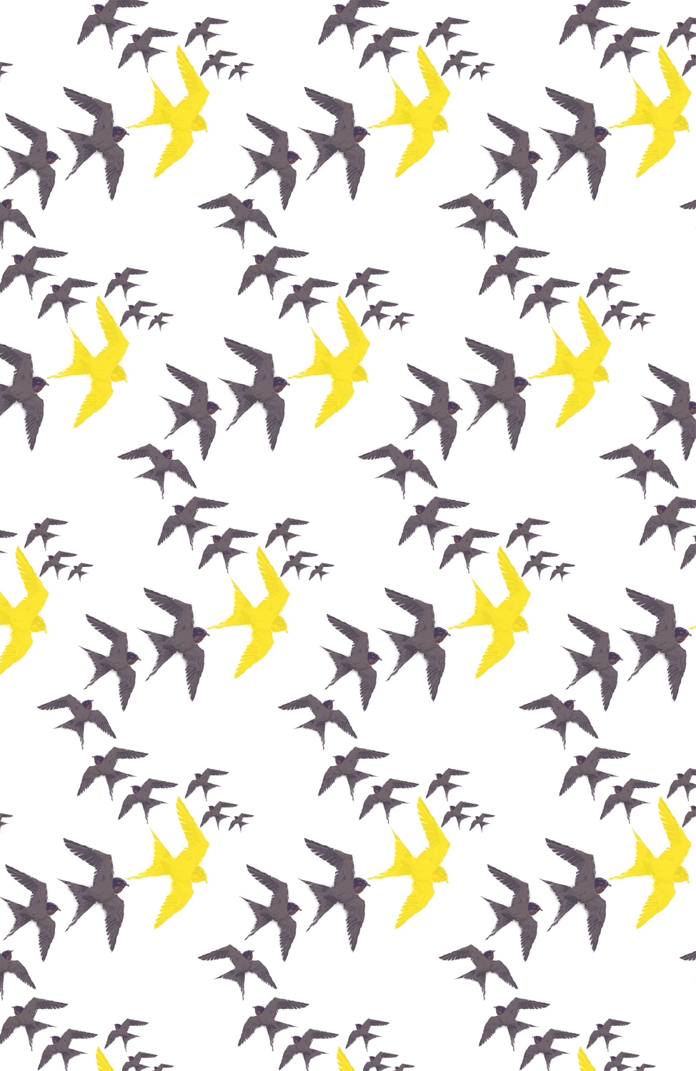 Flock - Black & Yellow