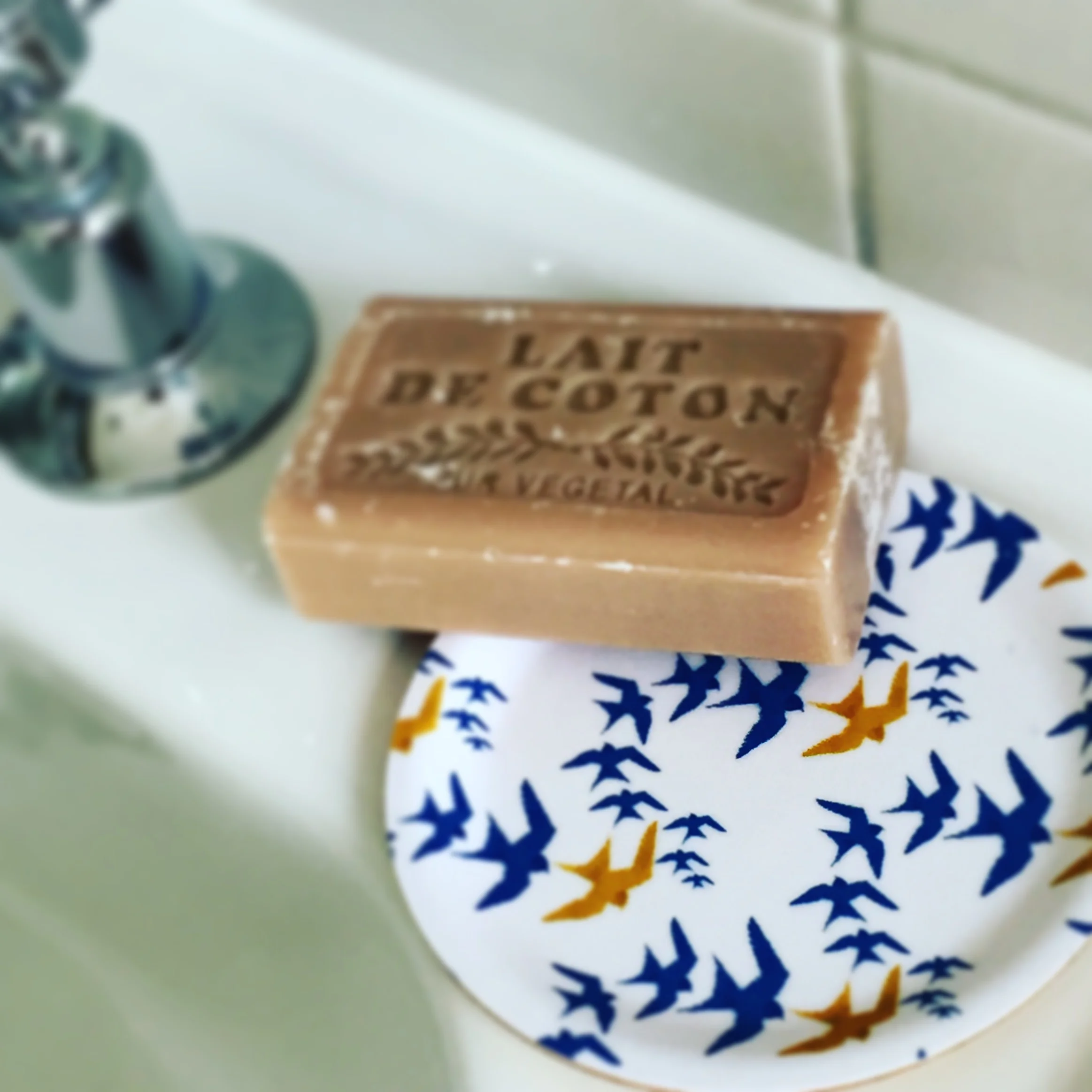 Designer soapdish and minitray with Swallow print from thehumblecut 
