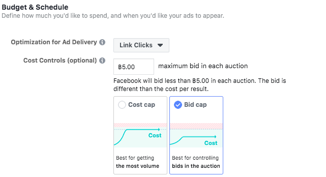 Page365-Facebook-Bid-Cap.png