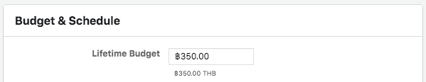 Page365-Facebook-Budget-Campaign.png