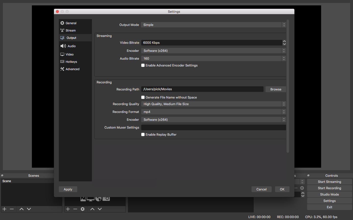 Page365-OBS-Settings-Output.png