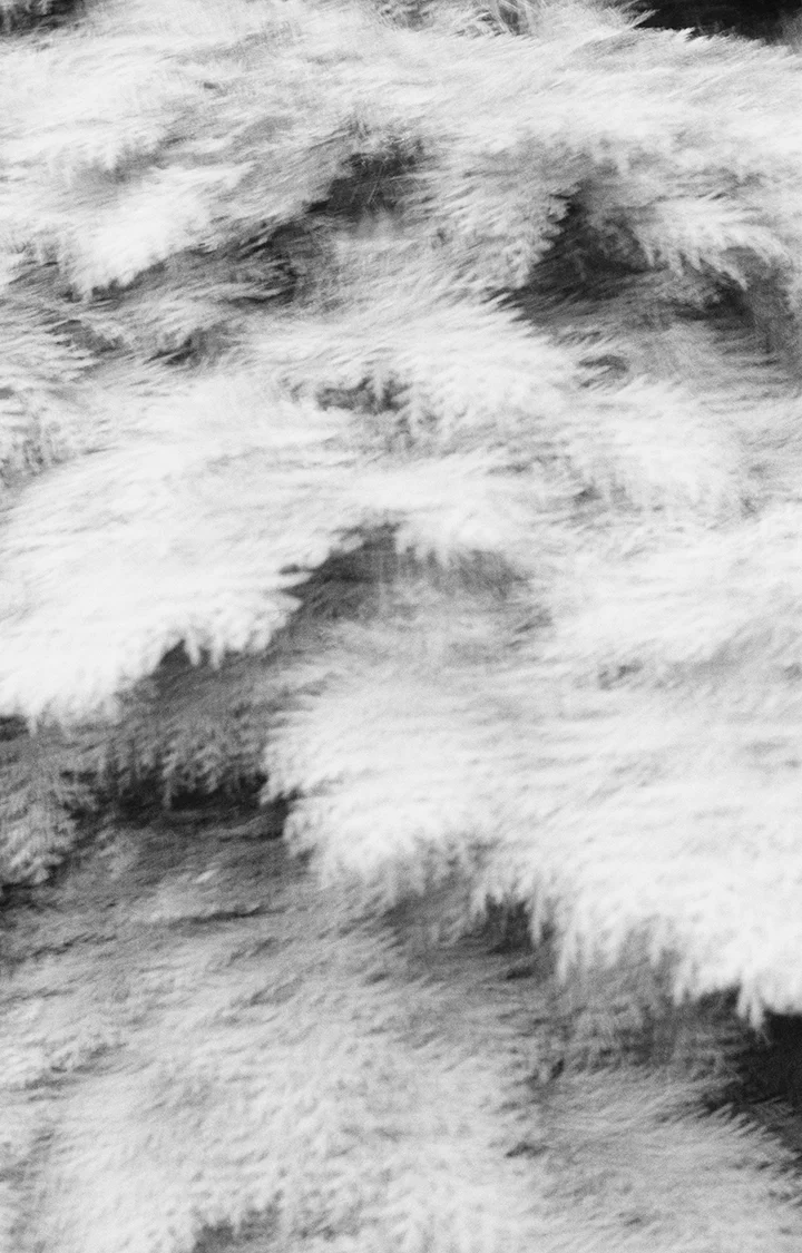 Wind_03.jpg