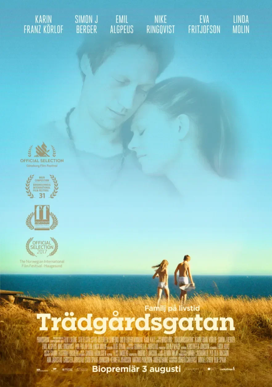 Trädgårdsgatan - 2019