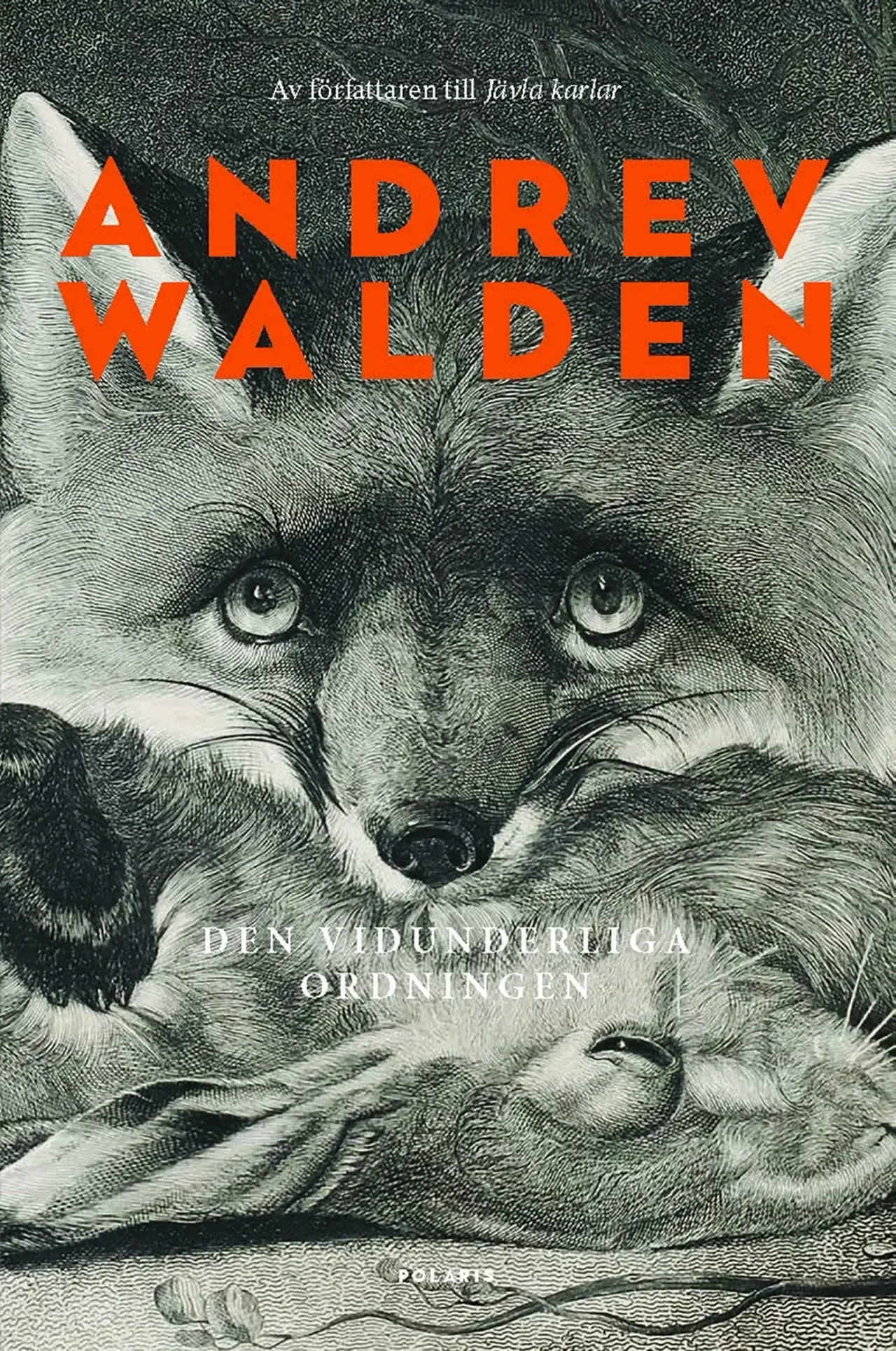 The Marvelous Order — book cover