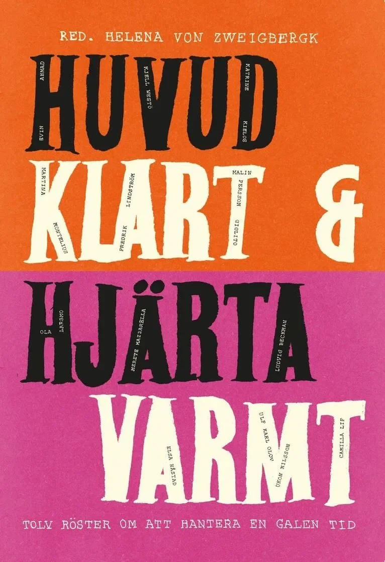 Clear Head, Warm Heart: Twelve Voices on Navigating a Crazy Time — book cover