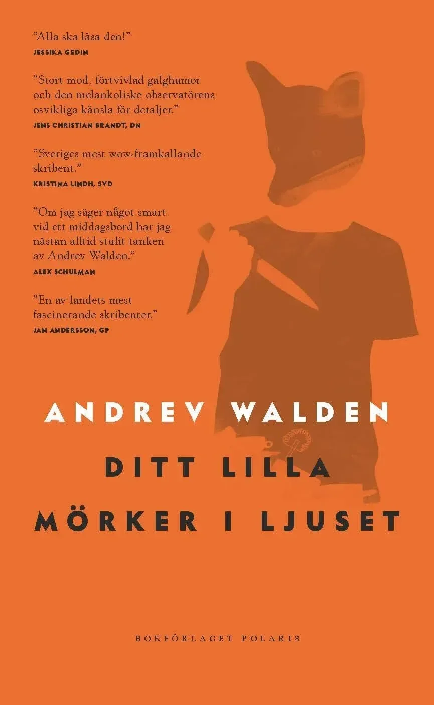 Your Little Darkness in the Light — book cover