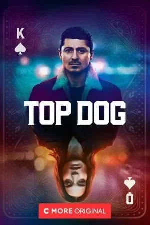 Top Dog 2020
