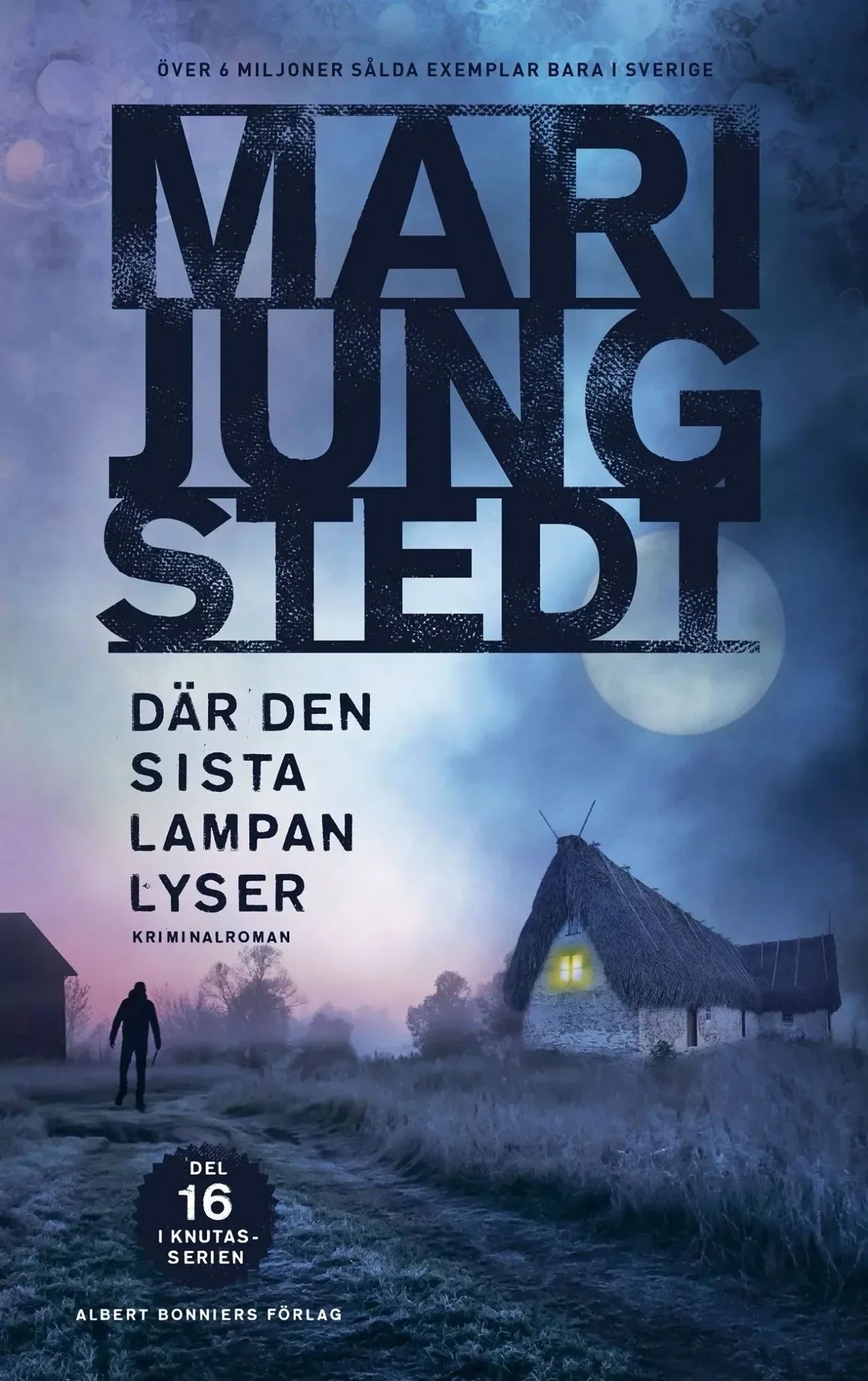 In the Failing Light — book cover