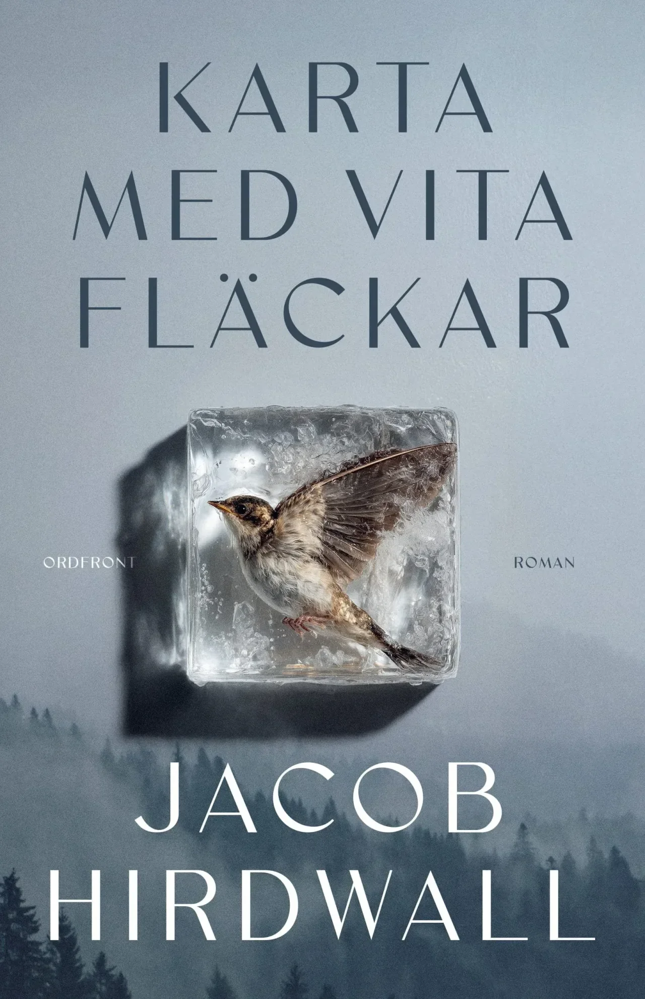 Map with White Spots — book cover