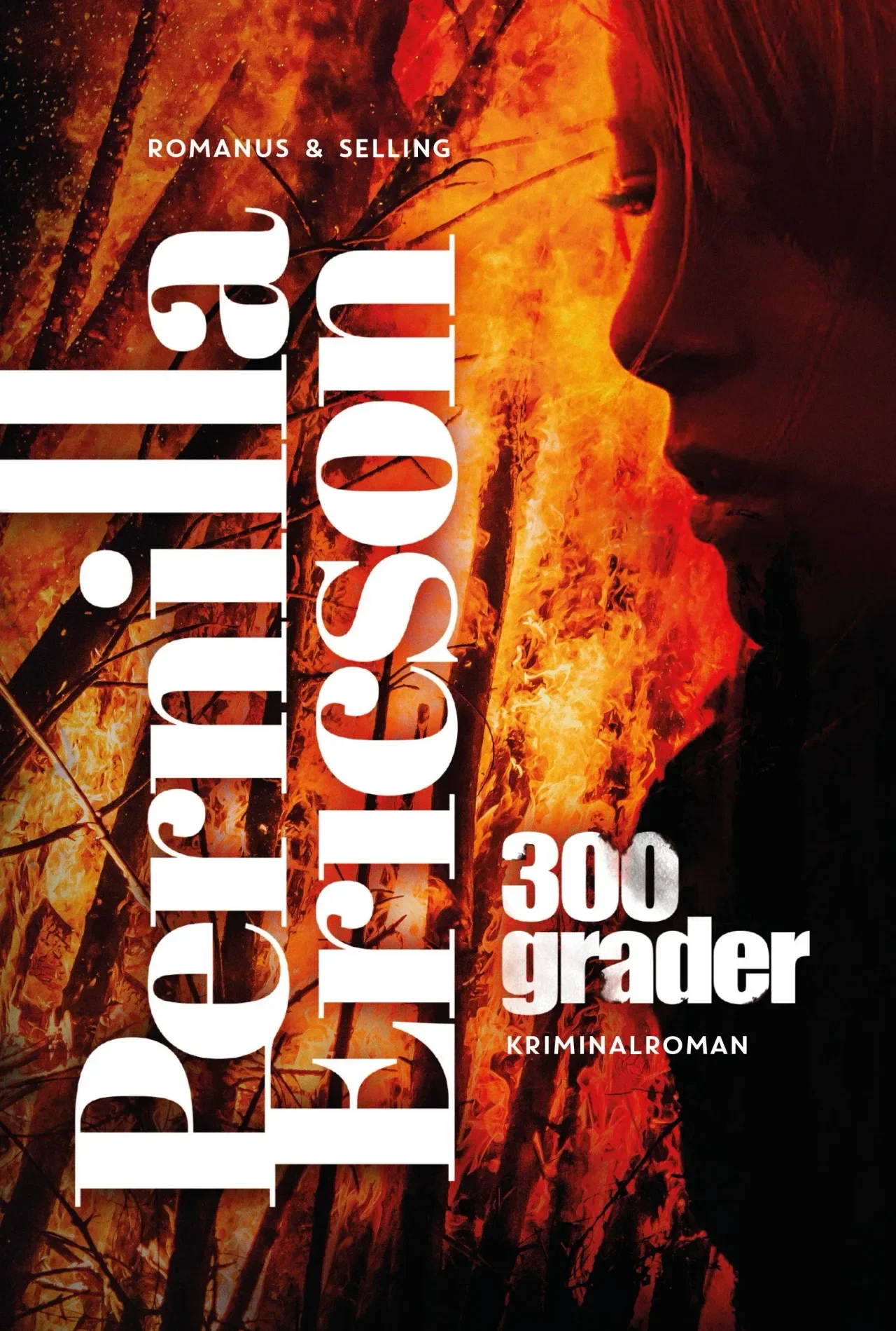 300 Degrees — book cover