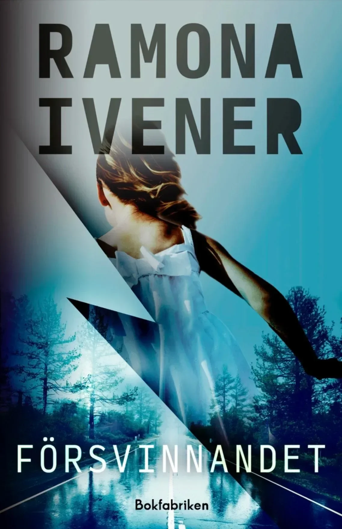 The Disappearance — book cover