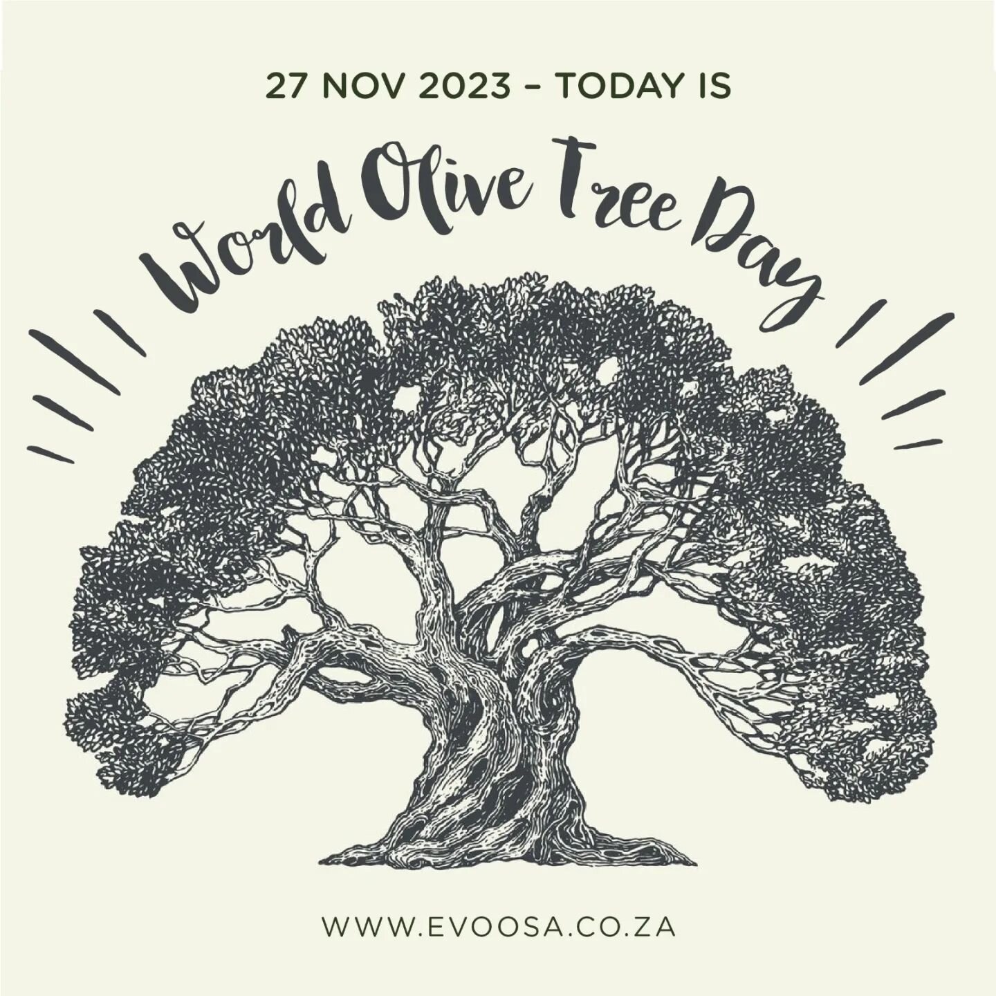 The aim of World Olive Tree Day is to encourage the protection of the olive tree and the values it embodies, in order to appreciate its important social, cultural, economic and environmental significance to humanity.

Since ancient times, it has symb