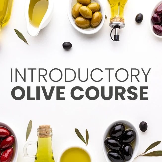 Join @saoliveindustry for an introductory course on olive oil, presented by Louise Rabie, covering basic knowledge and understanding of this liquid gold.

DATE: 15 May 9.30am-13.00pm at @joostenberg_wines. Contact marita@saolive.co.za to book.

This 