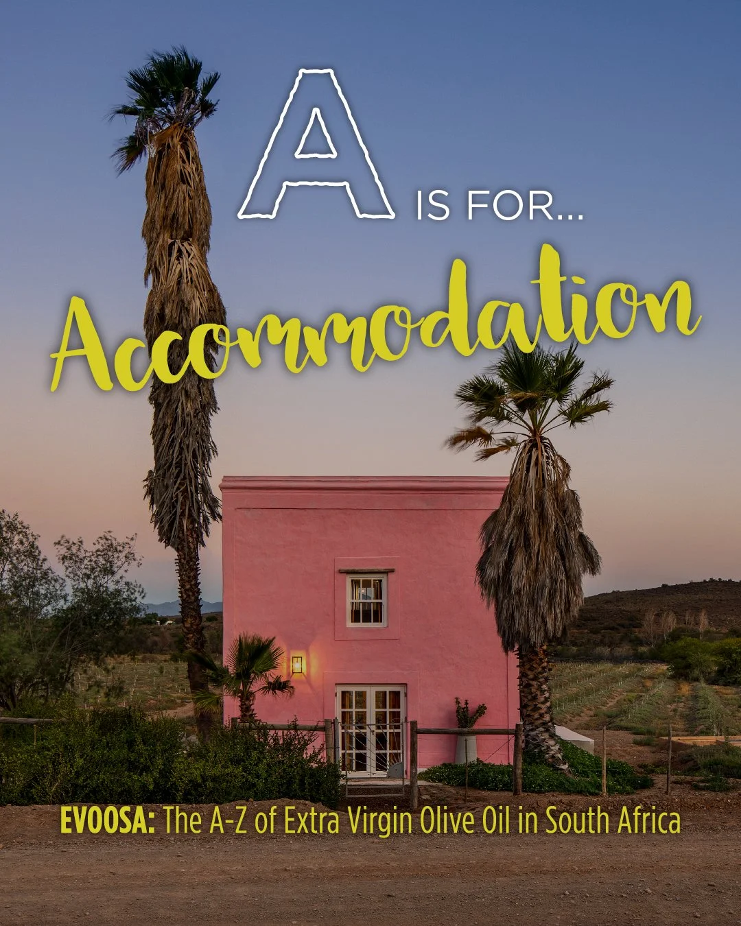 Trade the city for olive groves, mountain air, and long, slow meals.

Many South African olive farms offer beautiful accommodation paired with experiences like country dining, wine tasting, and guided tastings of extra virgin olive oil. It&rsquo;s th
