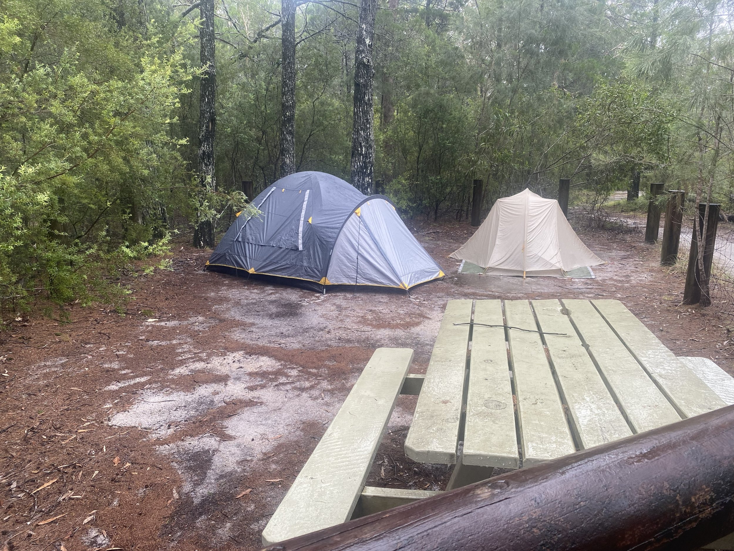 Best Noosa Everglades camping