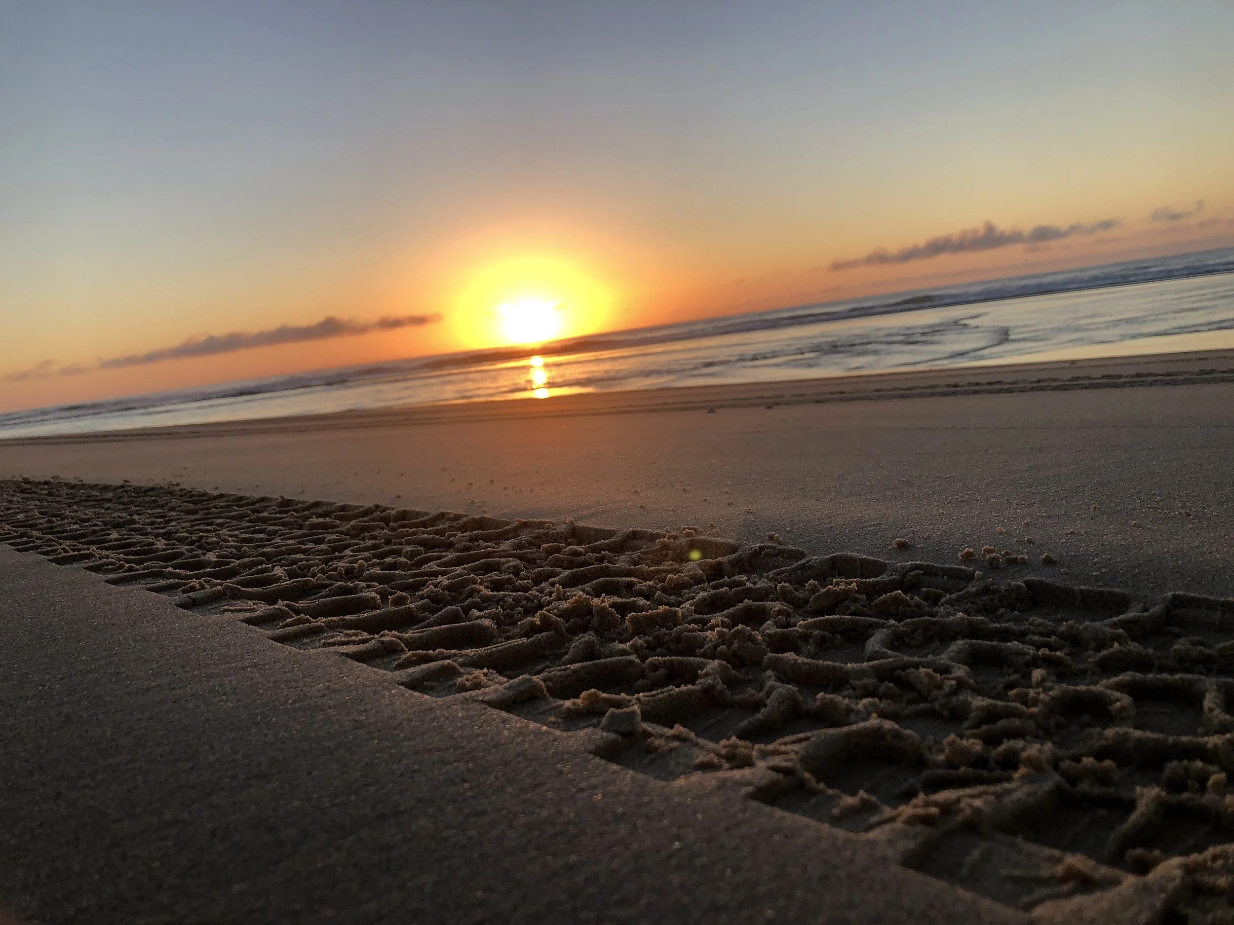 Best Sunshine Coast Adventure