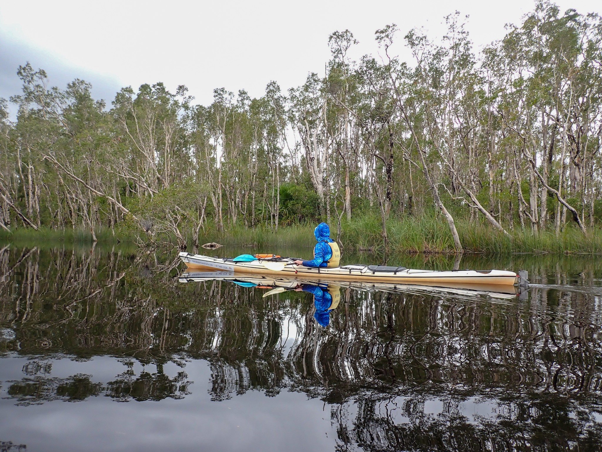 Embark on a paddling adventure through the stunning Noosa Everglades with us! Glide through pristine waters, surrounded by lush nature and abundant wildlife. Our guided and self guided kayaking tours offer the perfect blend of adventure and relaxatio