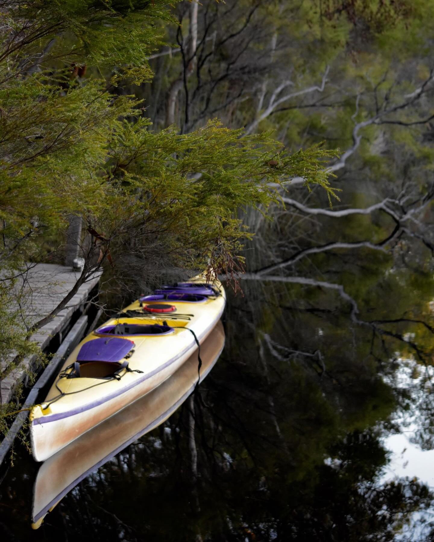 This might just be one of the best ways to escape a busy life and immerse yourself in the serenity of nature for a few days&hellip;.Just you and the birds! #kanukapers #noosaeverglades 
.
.
.
.
.
.
.
.
.
.
#visitnoosa
#visitsunshinecoast #ecotourisma