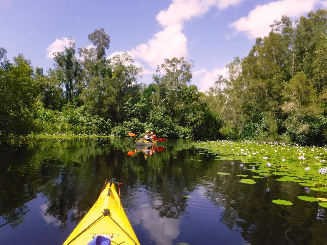 Lilies & paddlers.jpg