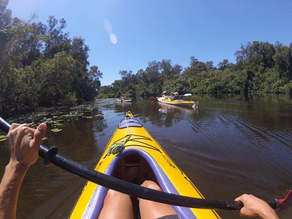 kayaking down the river.jpg