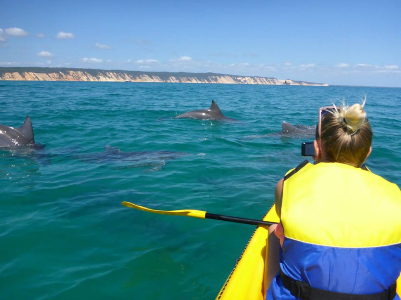 kayak-tours-noosa-with-dolphins-HR.jpg
