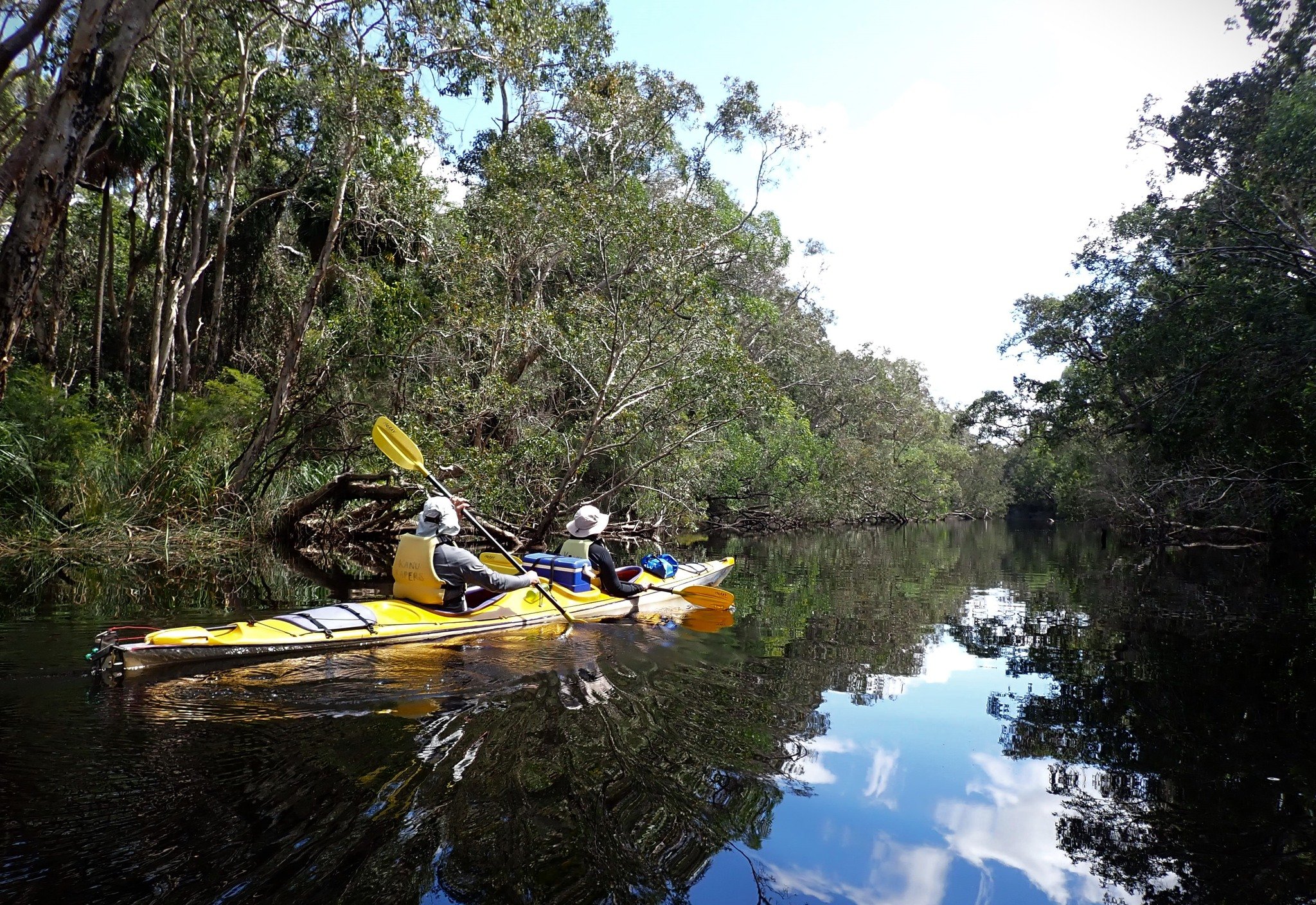 Sometimes you are lucky enough to have the river nearly all to yourself! #breatheinnature #noosaeverglades #uppernoosariver #kayaktour #kanukapers #adventuretoday @adventuretribeaus #visitnoosa #noosaswildside #visitsunshinecoast #noosawetlands #rive