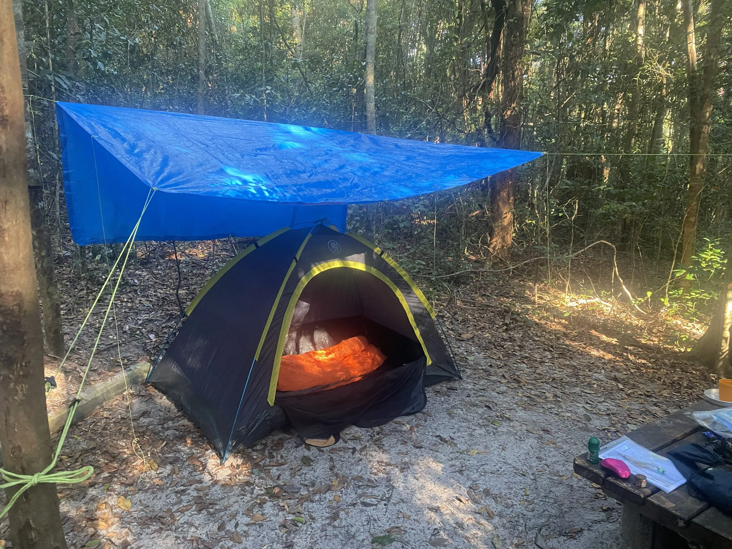 Best Sunshine Coast Camping